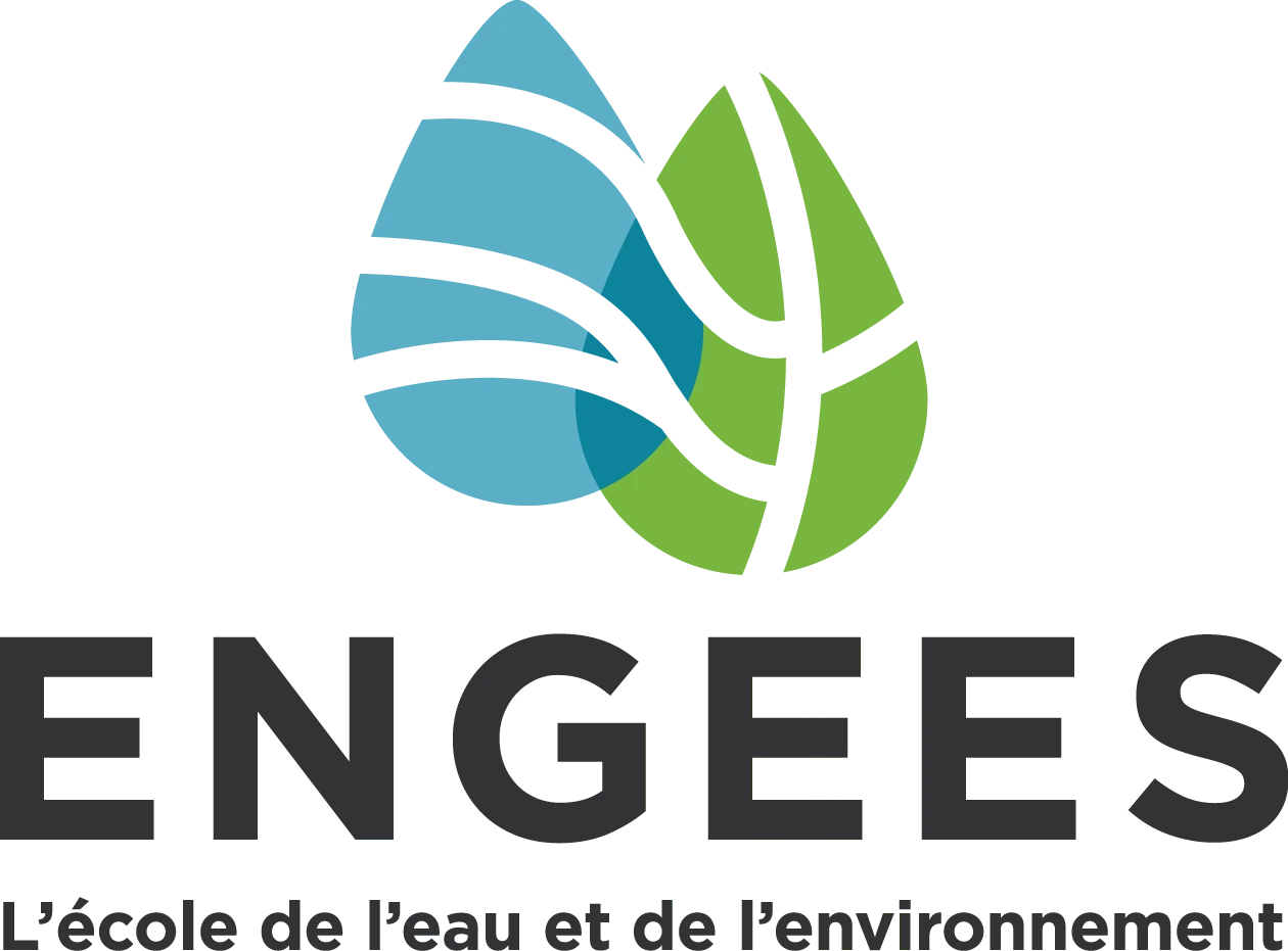 Logo ENGEES